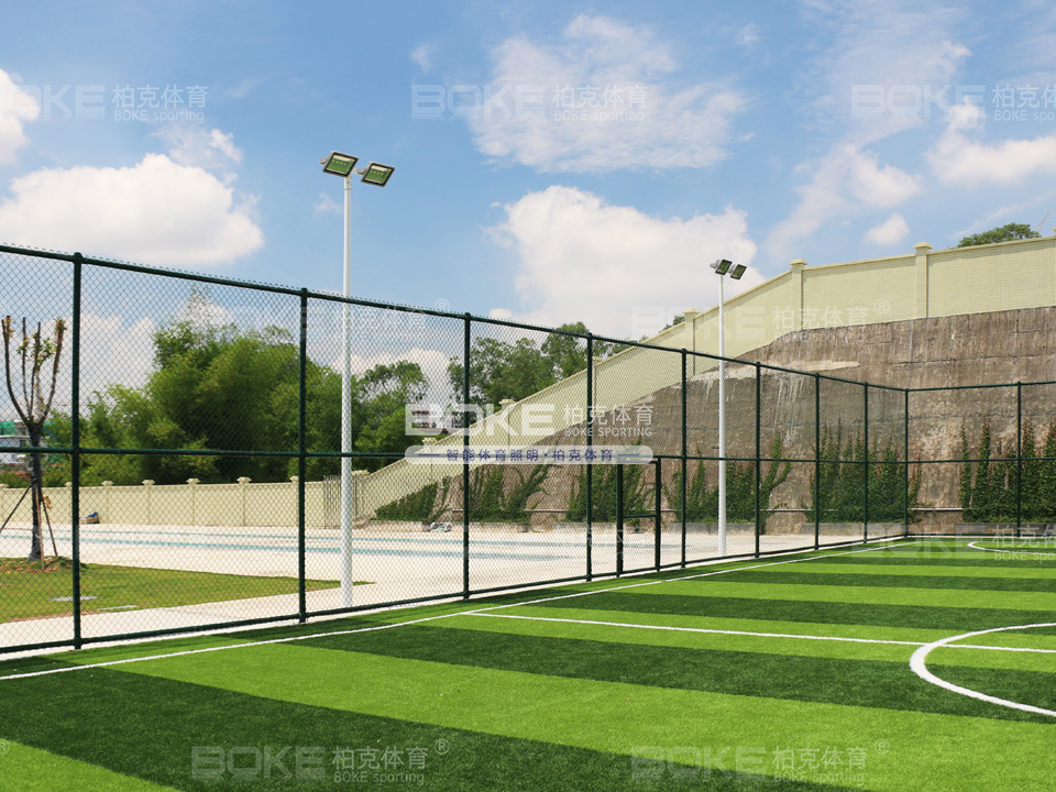 名称：东源高级中学体育球场灯光案例